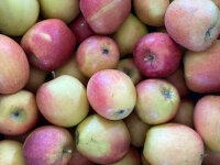 Äpfel Braeburn