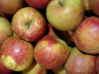 Äpfel Boskoop