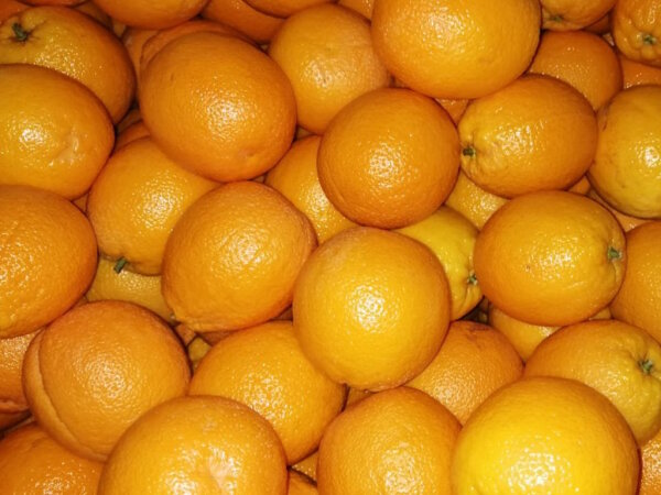 Saftorangen 1 Kilogramm