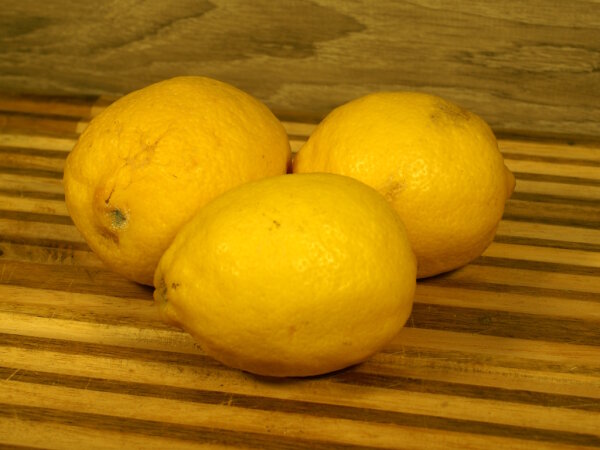 Zitronen Bio 1 Stück