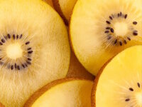 Kiwi gold 1 Stück