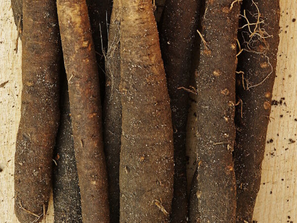 Schwarzwurzel 100 Gramm