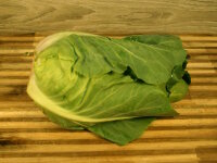 Spitzkohl 1 Kilogramm