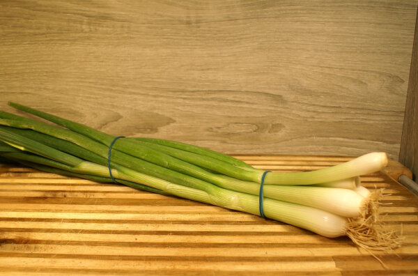 Bundzwiebeln 1 Bund