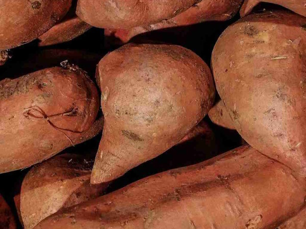 Süßkartoffeln 1 Kilogramm