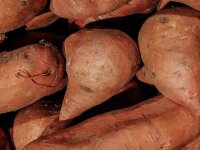 Süßkartoffeln 1 Kilogramm