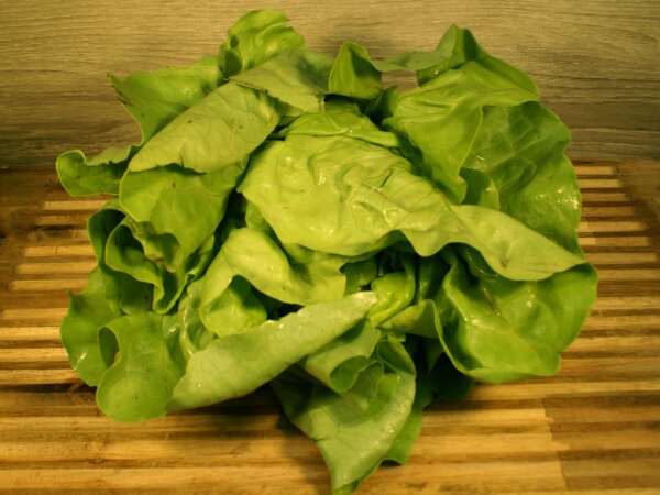 Kopfsalat 1 Stück
