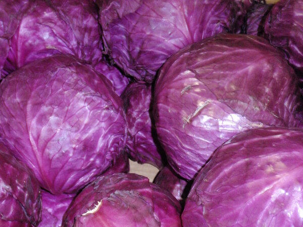 Rotkohl 1 Kilogramm