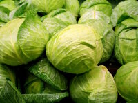 Weisskohl 1 Kilogramm